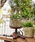 Maison Garden Cloche