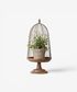 Maison Garden Cloche