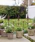 Ornamental Iron Garden Border Short