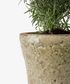 Celadon Herb Planter