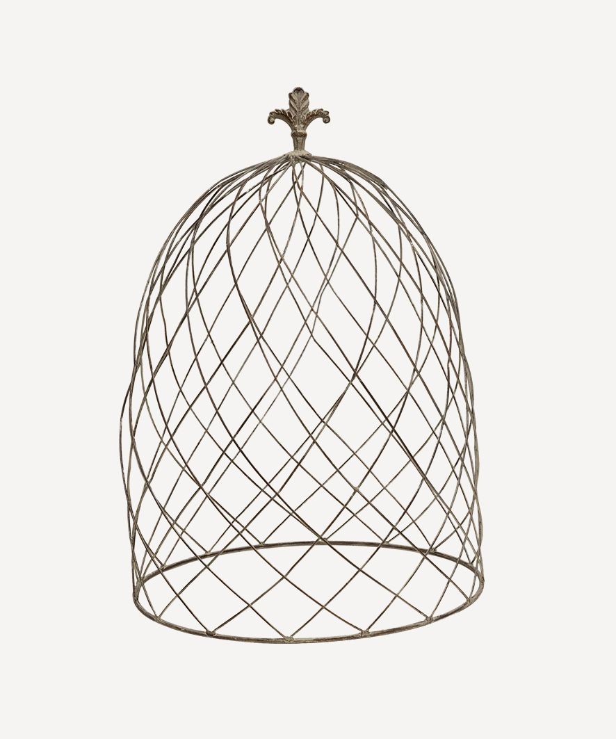 Cloche Dome Large