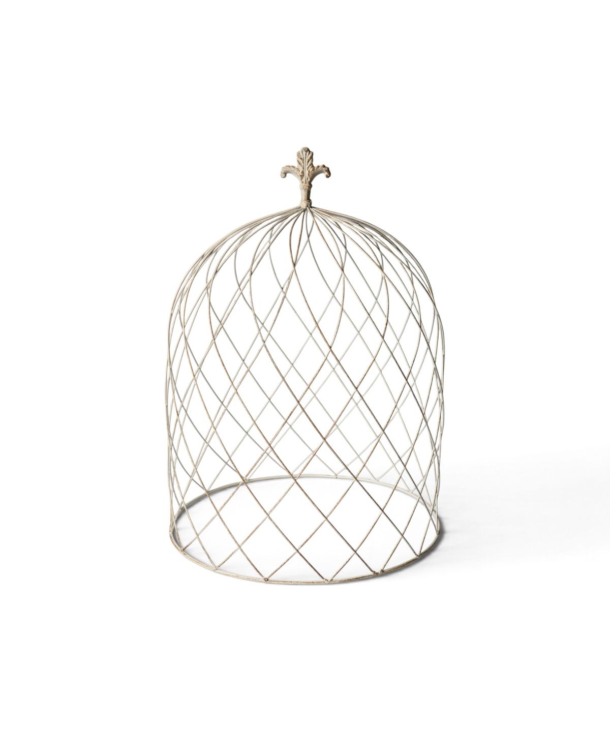 Cloche Dome Large
