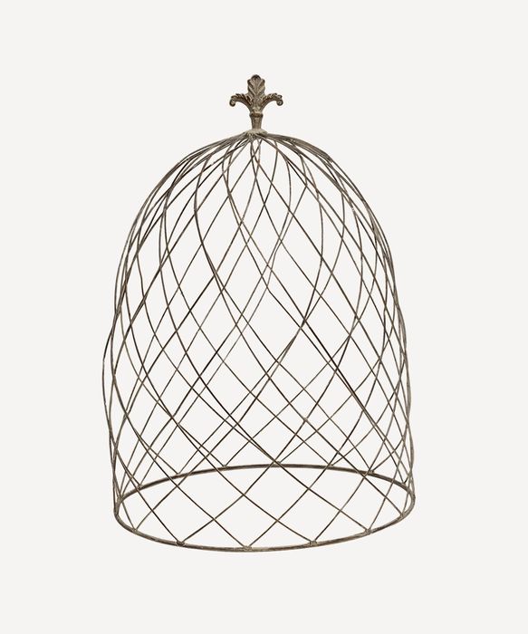 Cloche Dome Large