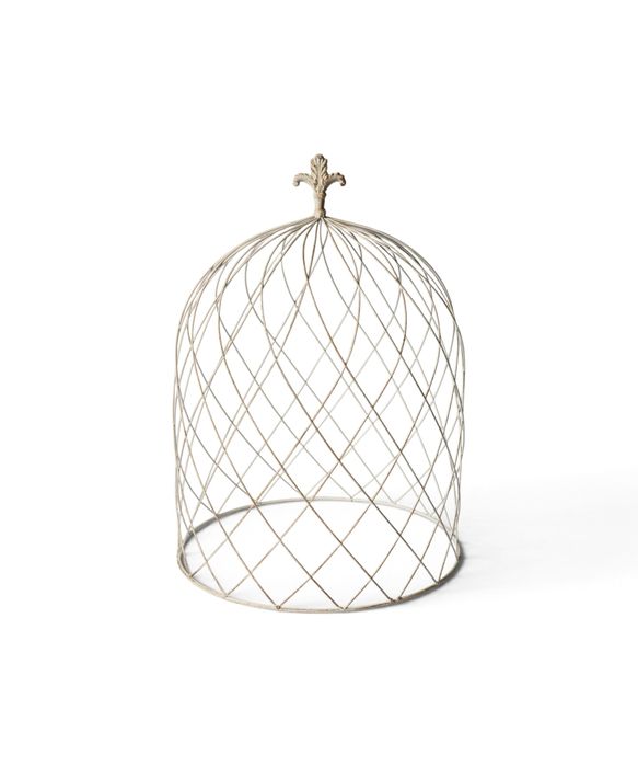 Cloche Dome Large