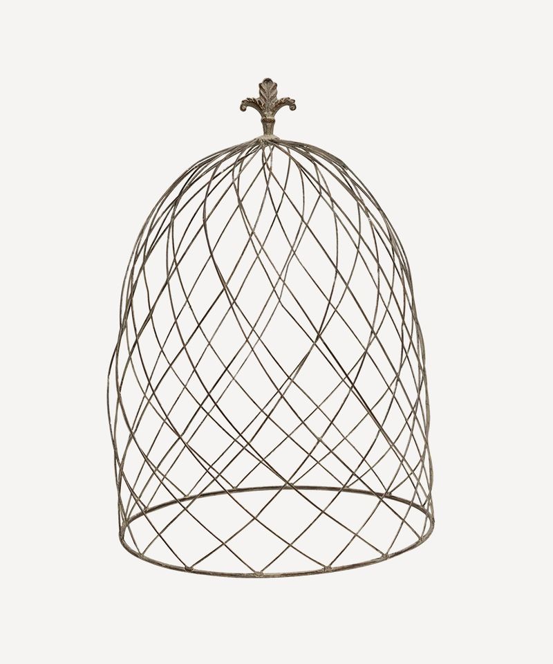 Cloche Dome Large