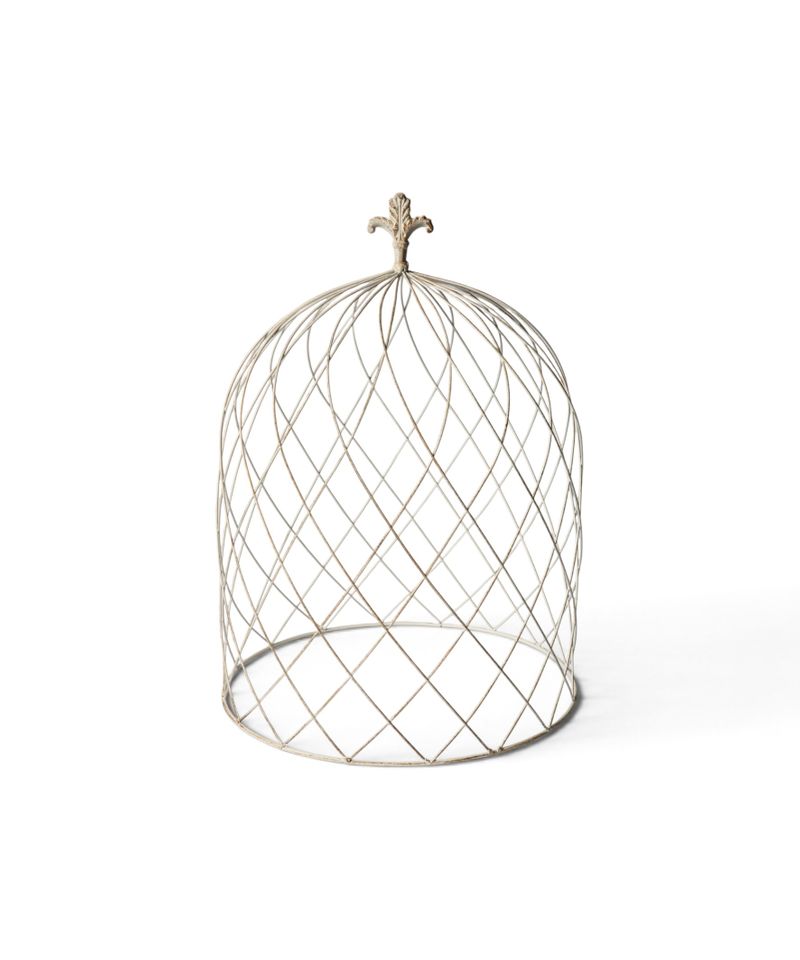 Cloche Dome Large