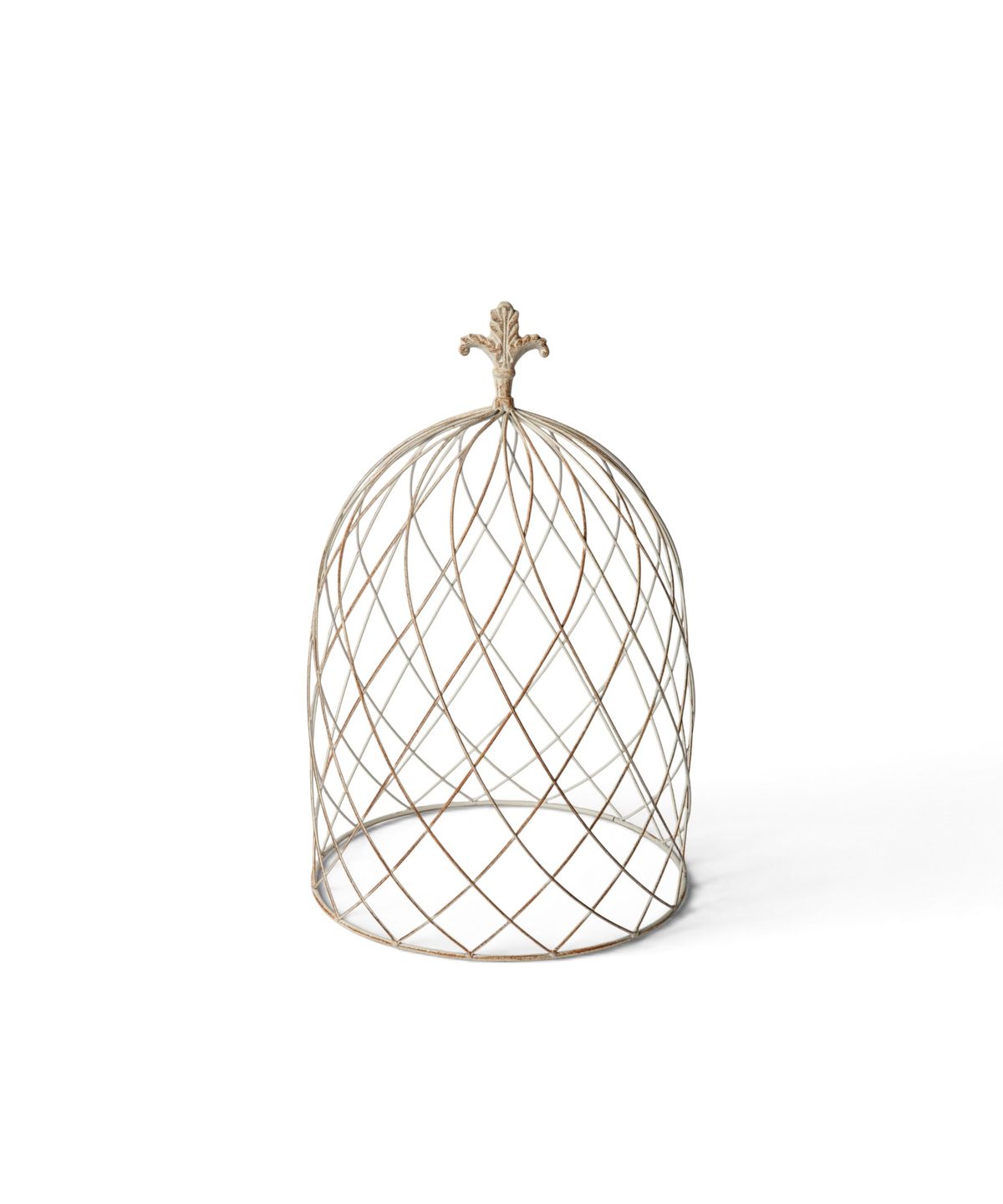 Cloche Dome Medium