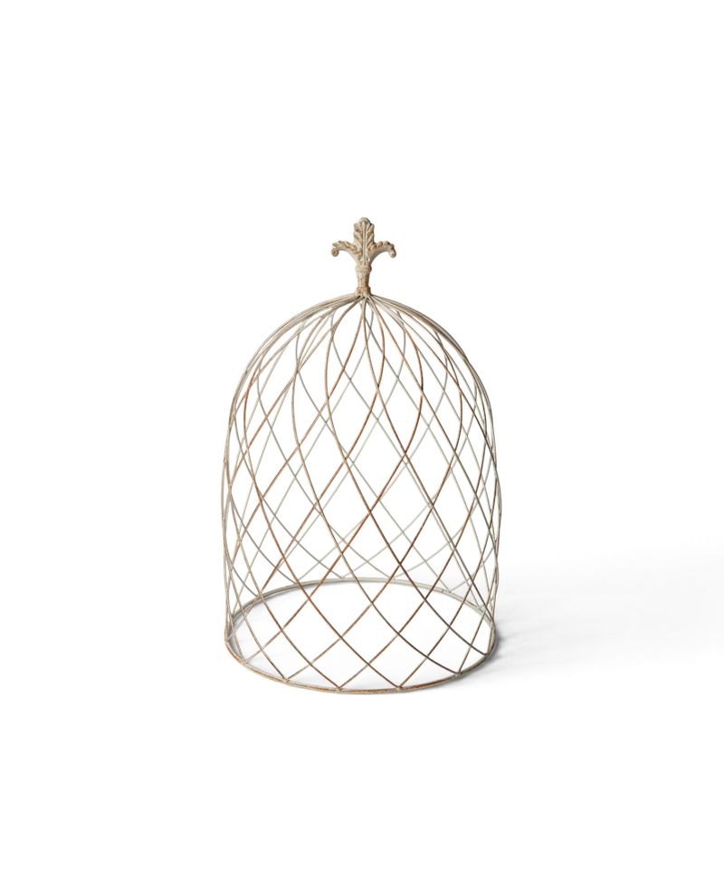 Cloche Dome Medium