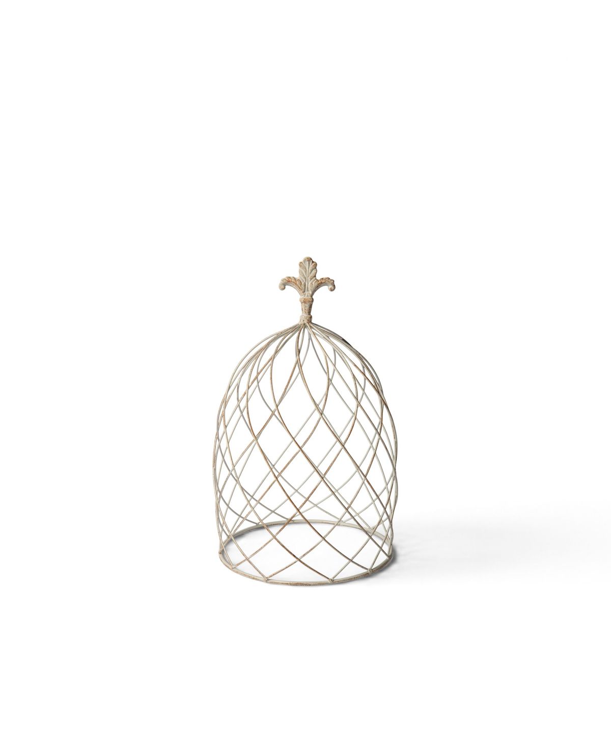 Cloche Dome Small