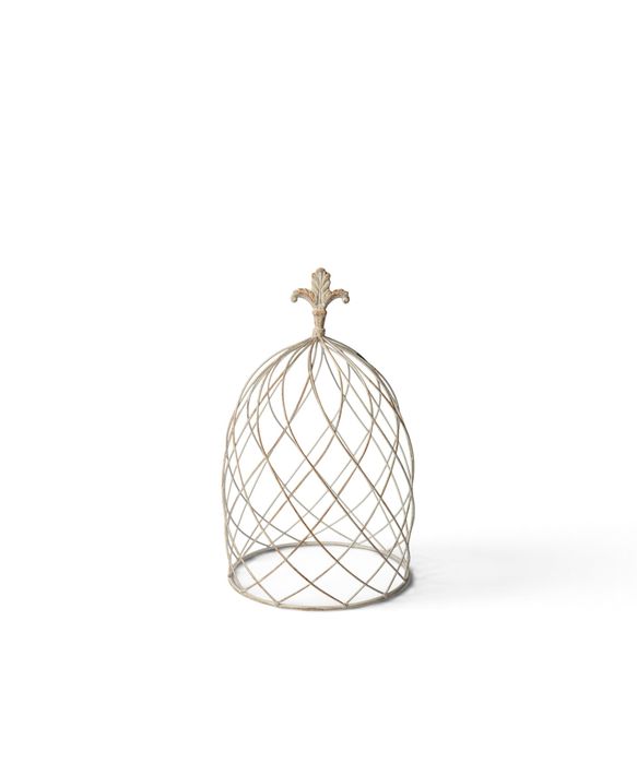 Cloche Dome Small
