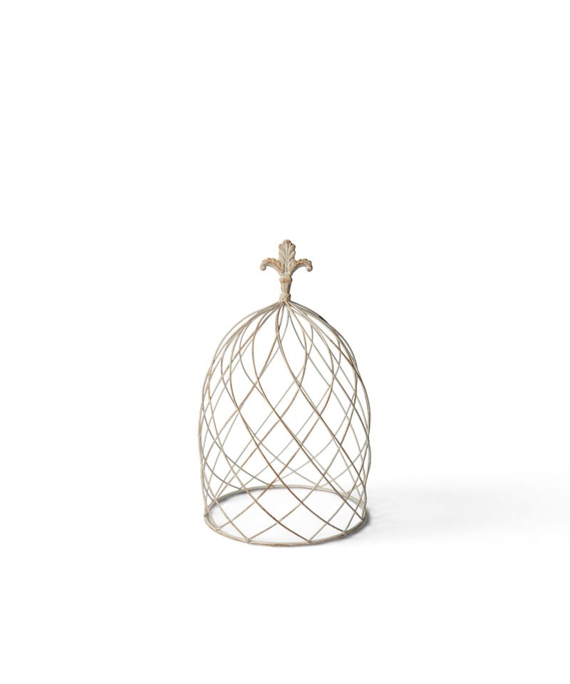 Cloche Dome Small