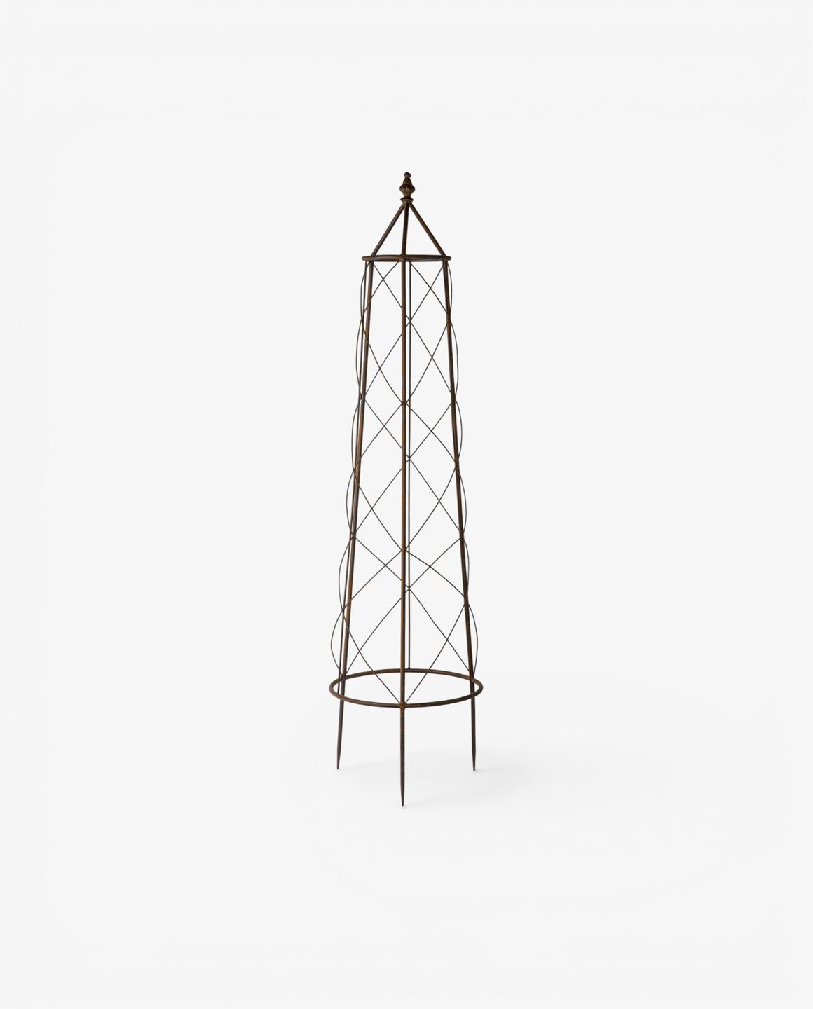 Ivy Plant Trellis Brown Medium