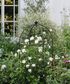 Eden Iron Garden Cloche Large