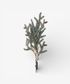 Pinecone Light Up Branch 40cm