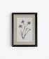 Heirloom Wall Art Blue Eyed Grass