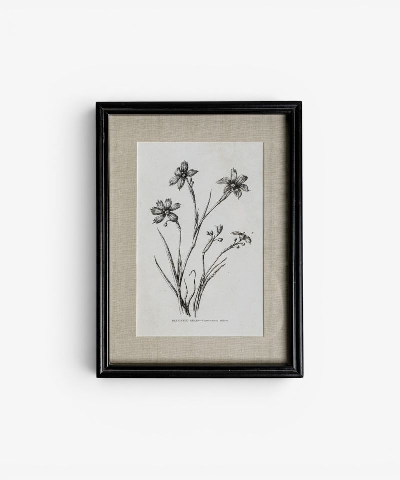 Heirloom Wall Art Blue Eyed Grass