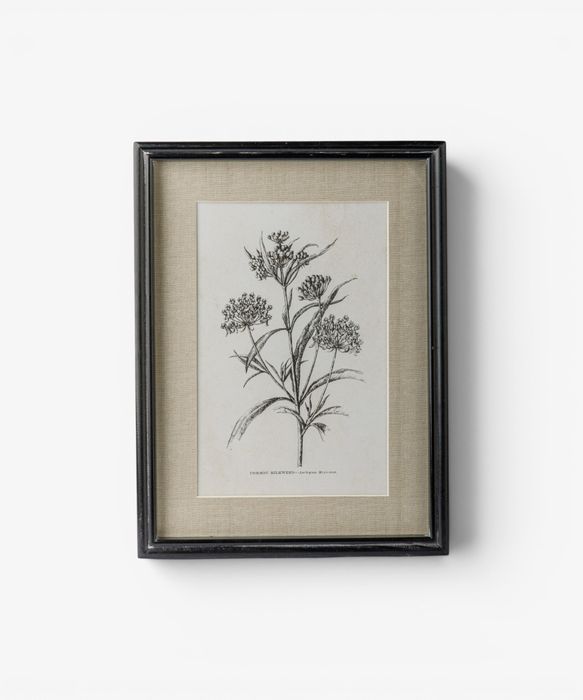 Heirloom Wall Art Milkweed