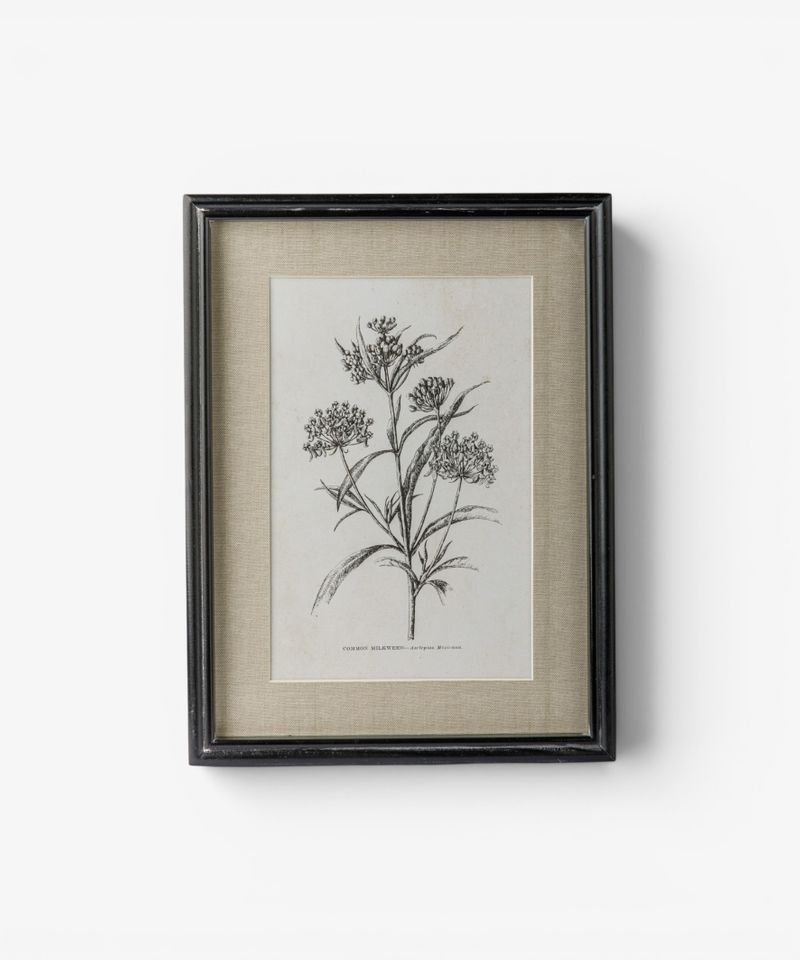 Heirloom Wall Art Milkweed