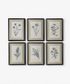 Heirloom Wall Art Milkweed