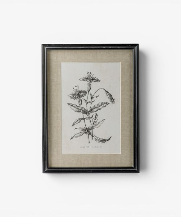 Heirloom Wall Art Indian Pink