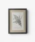 Heirloom Wall Art Bush Clover