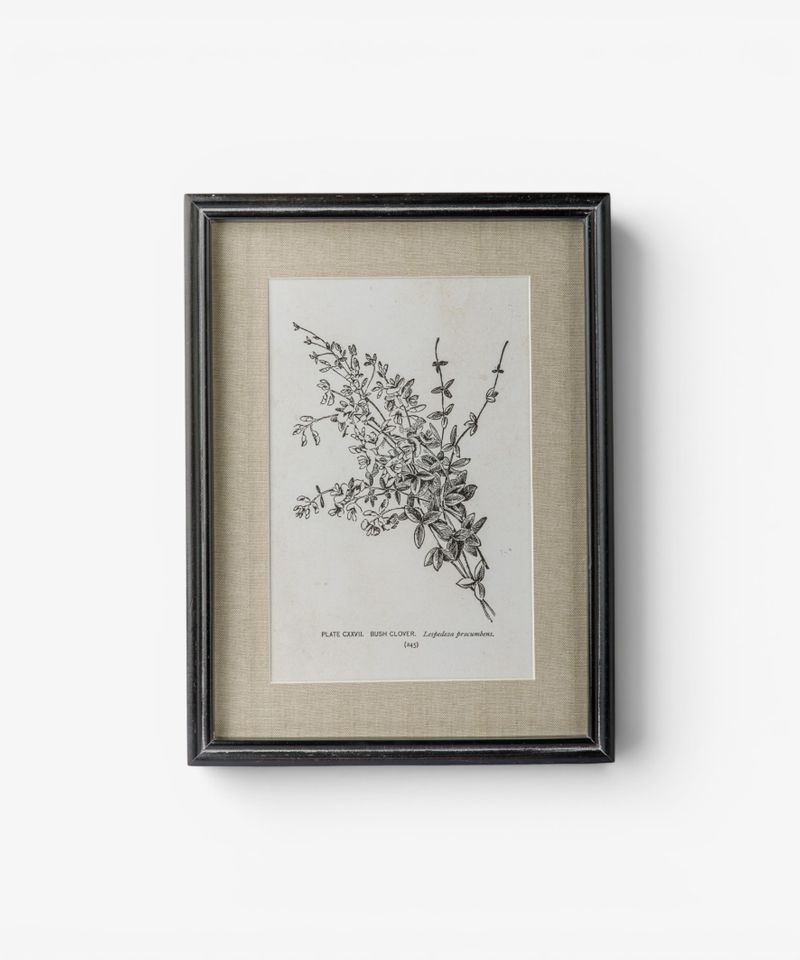 Heirloom Wall Art Bush Clover