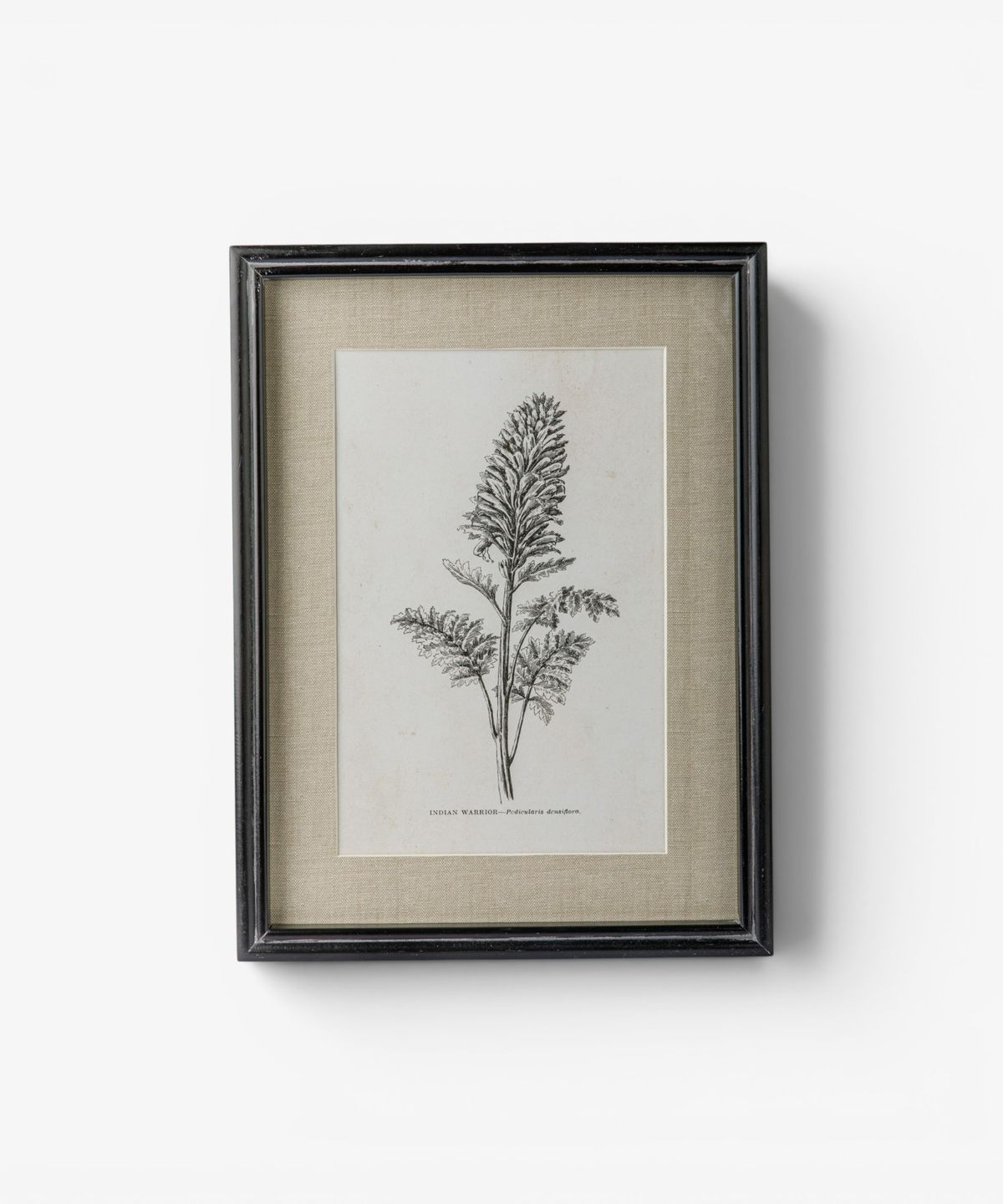 Heirloom Wall Art Indian Warrior