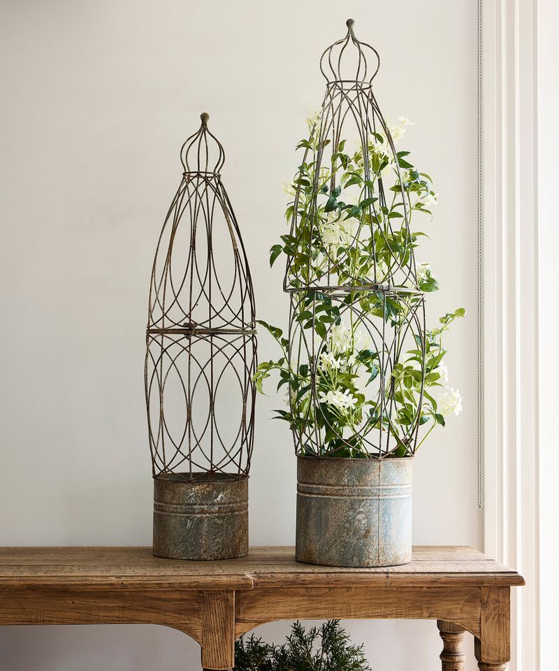 Jardin Trellis Small