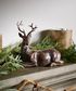 Sentinel Small Lying Down Reindeer Right Side