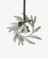 Evergreen Mini Wreath