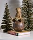 Bear on Ball