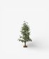 Cedar Evergreen Christmas Tree 140cm
