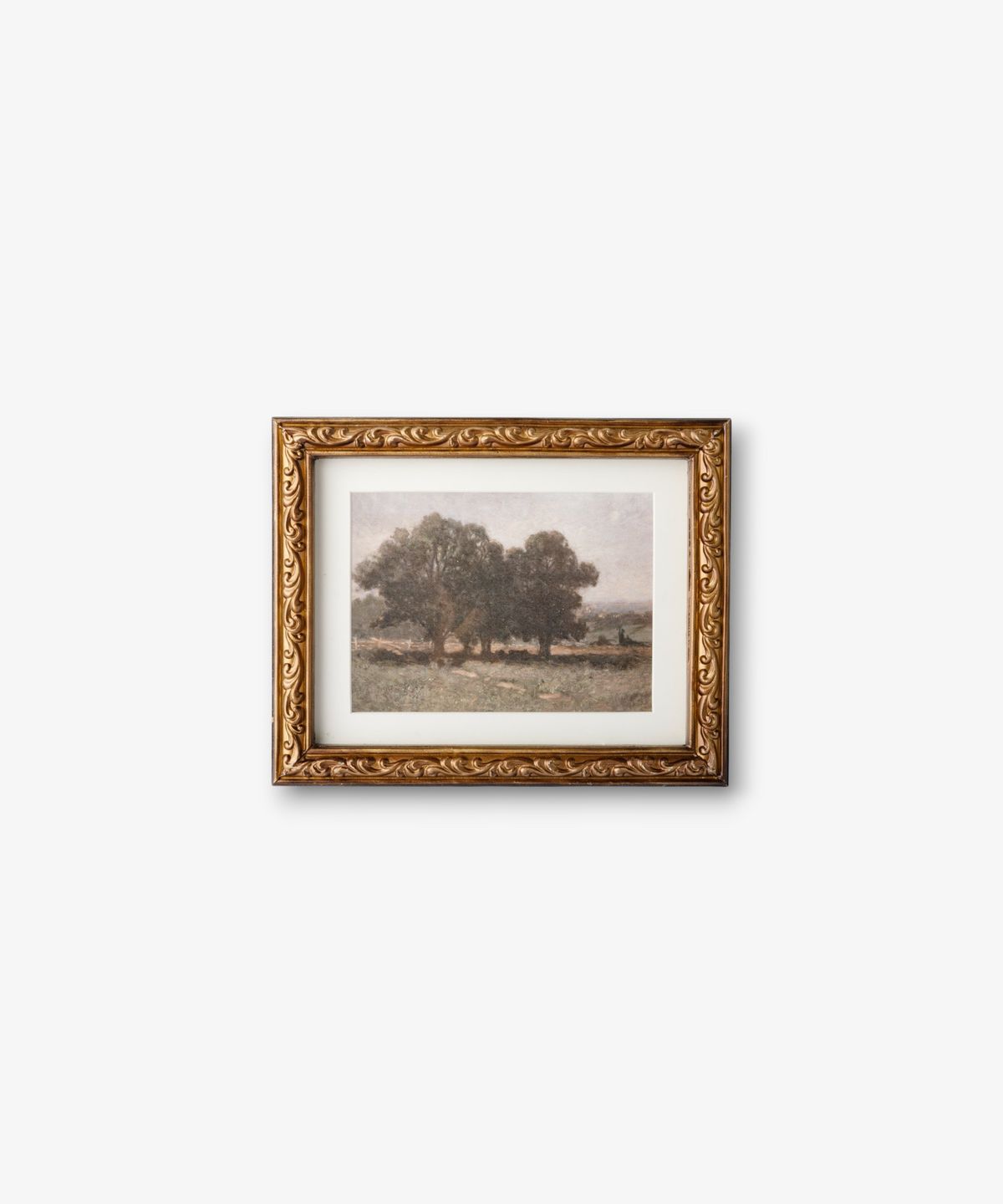Stand of Trees Wall Art