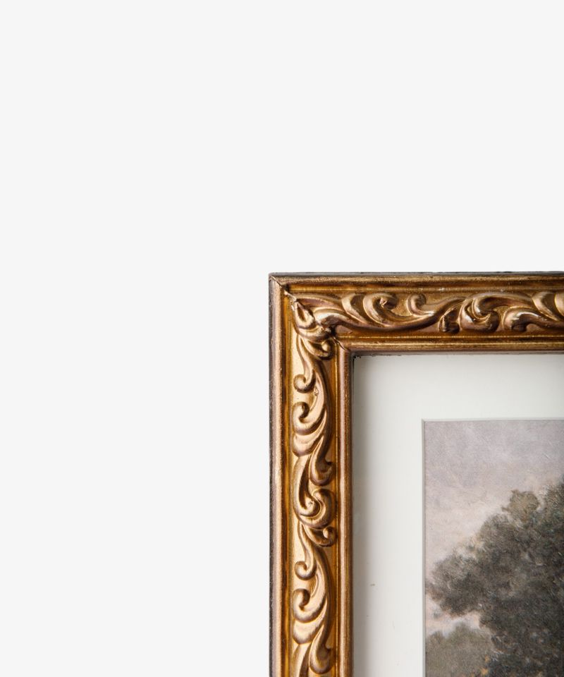 Stand of Trees Wall Art