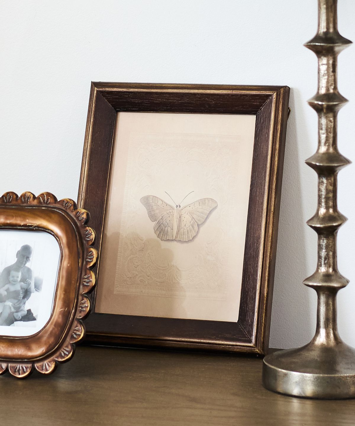 Butterfly Study Wall Art