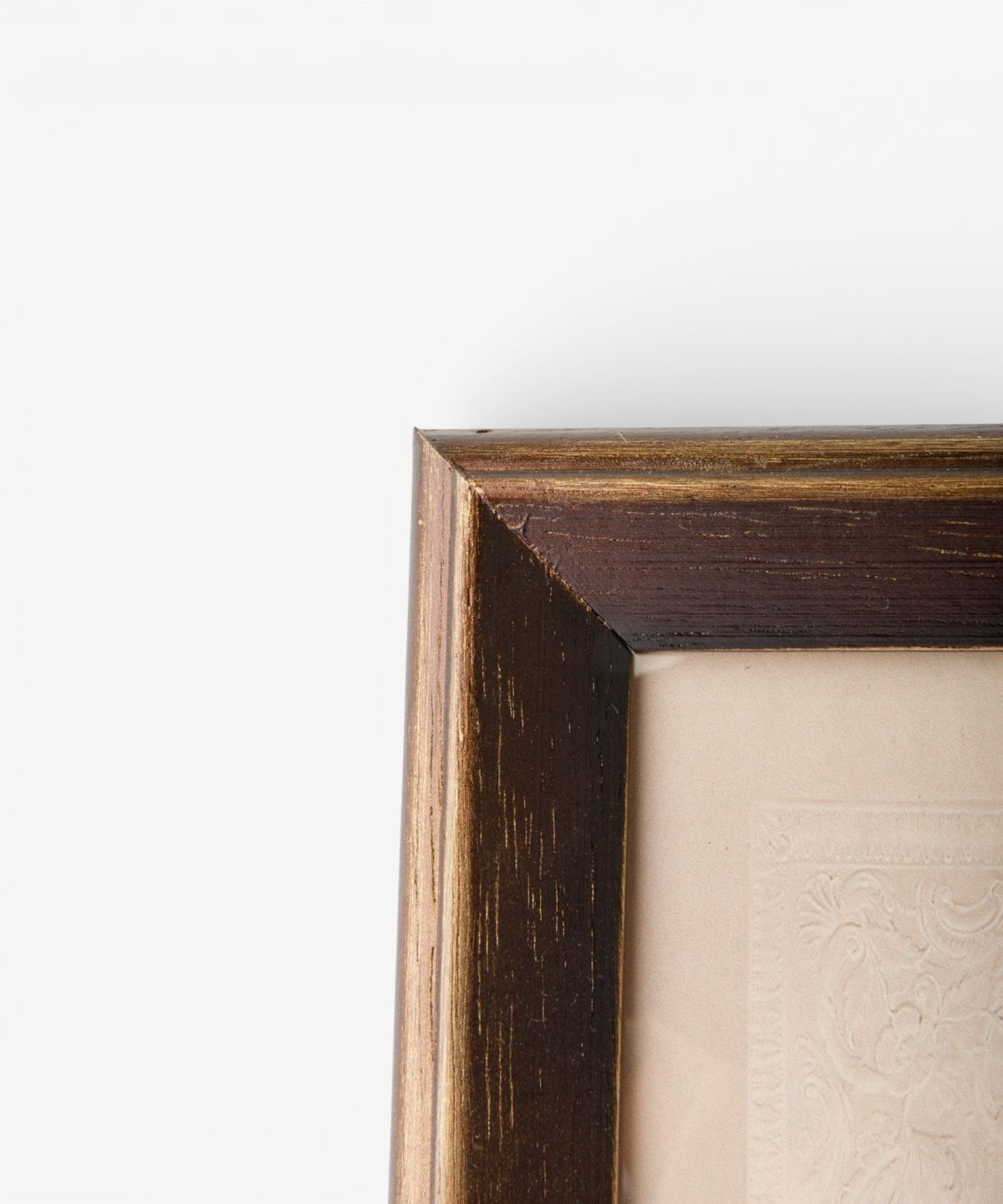 Butterfly Study Wall Art