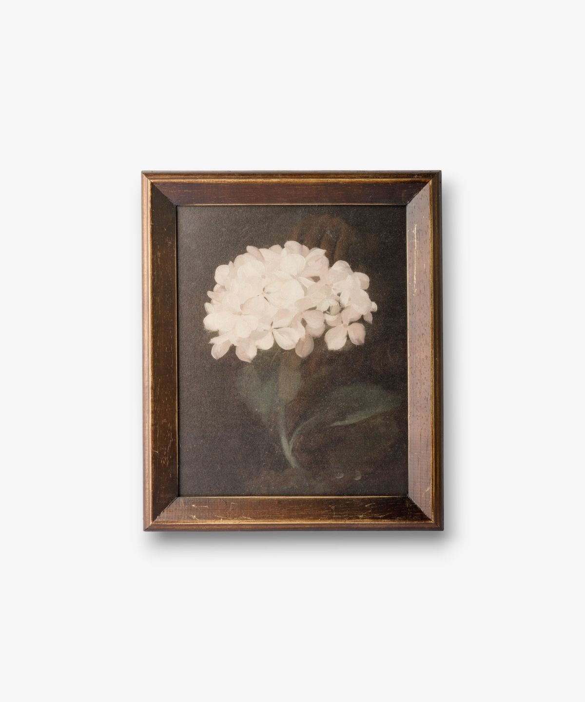 Hydrangea Wall Art
