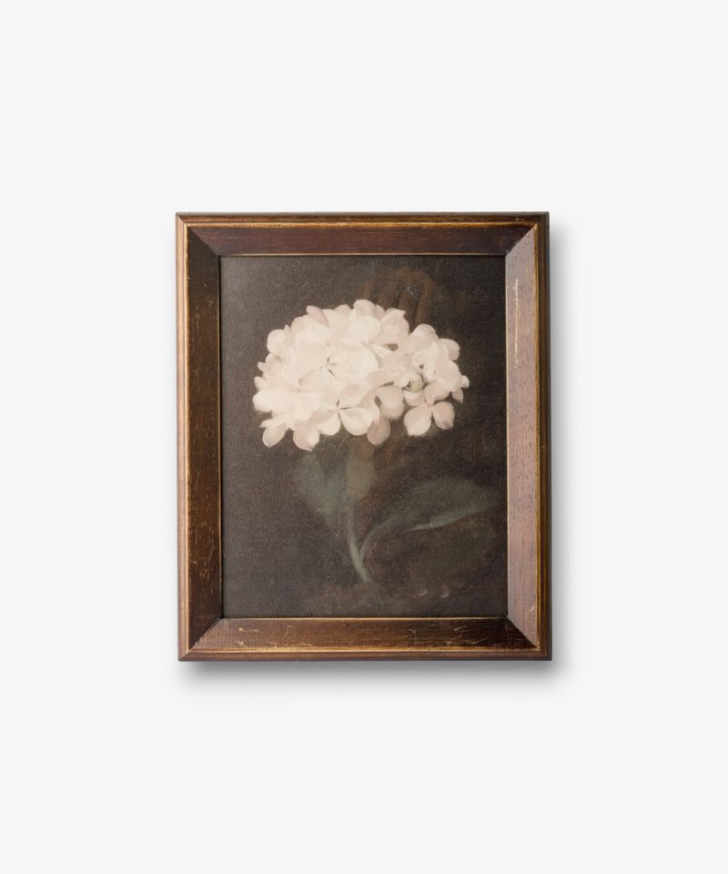 Hydrangea Wall Art