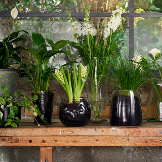 Sale - The Perfect Vessel