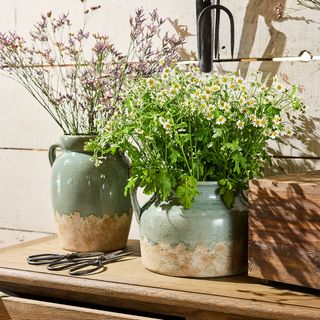 Spring Refresh