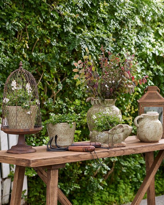 https://d347awuzx0kdse.cloudfront.net/fccnzredesign/content-image/Home-4-Garden.jpg