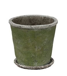 Evergreen plant pot