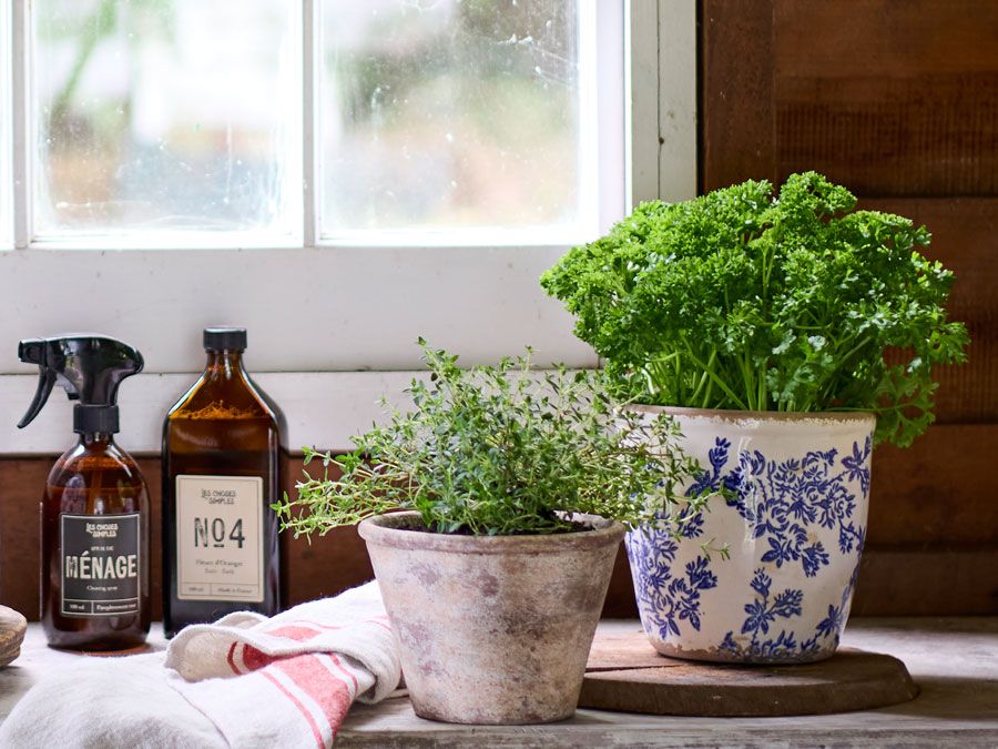 Herb planters