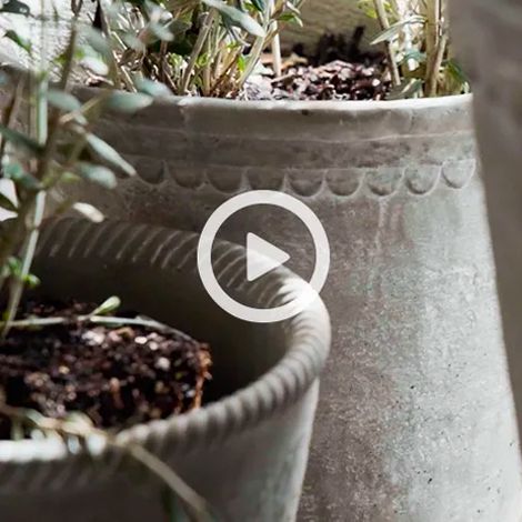 Garden Oasis | Video