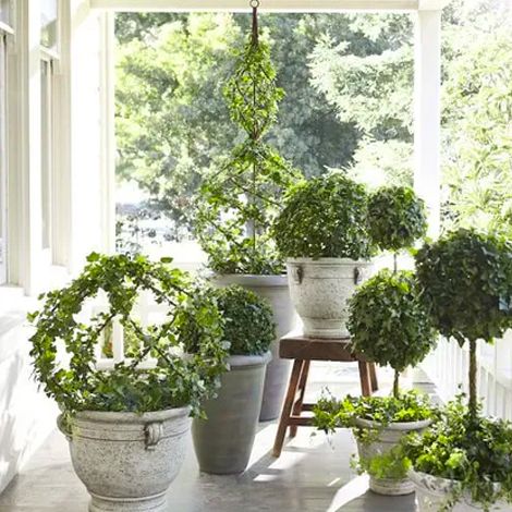 Style Notes Edition Four