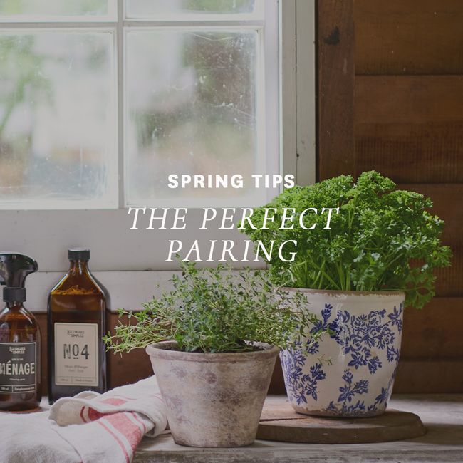 SPRING TIPS | The Perfect Pairing