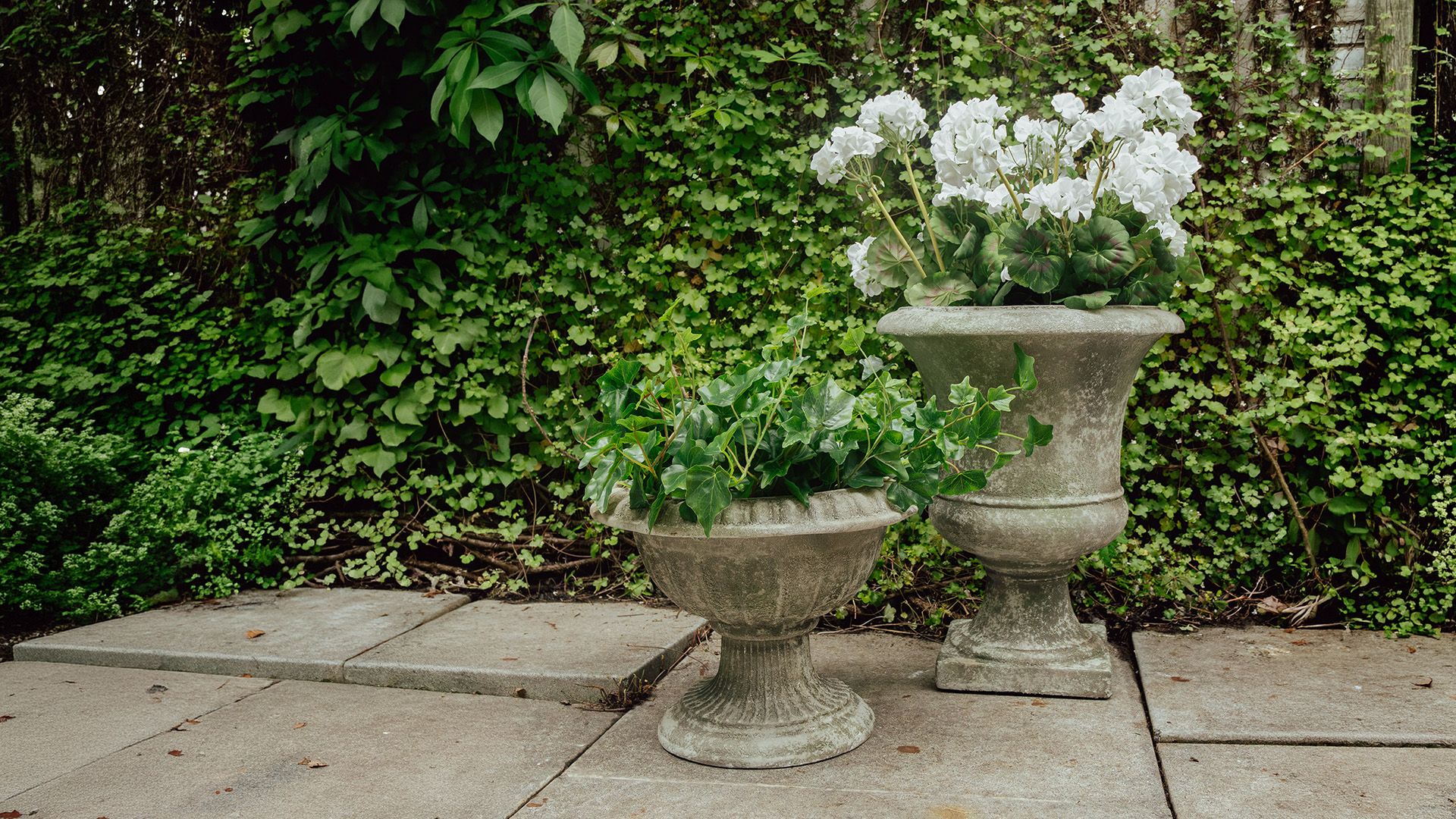 <h2>The Sculptural Garden</h2><button>Shop Garden & Outdoor</button>