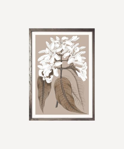 Wall Art | French Country Collections