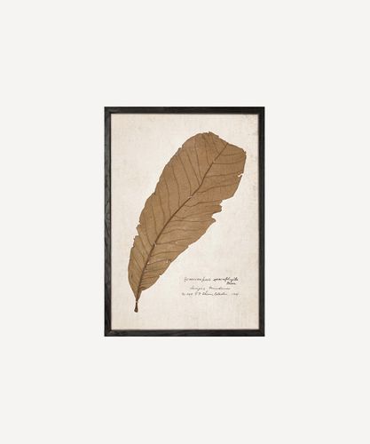 Leaf Wall Art Single Leaf