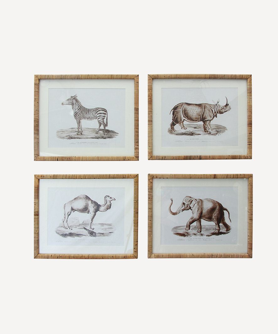 Animal Wall Art (4PC)